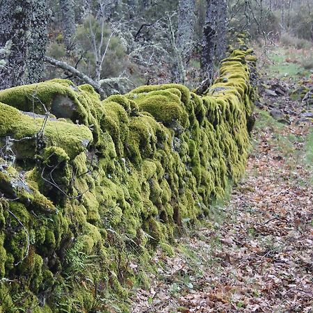 Apartamentos Sierra De Francia Monsagro Dış mekan fotoğraf