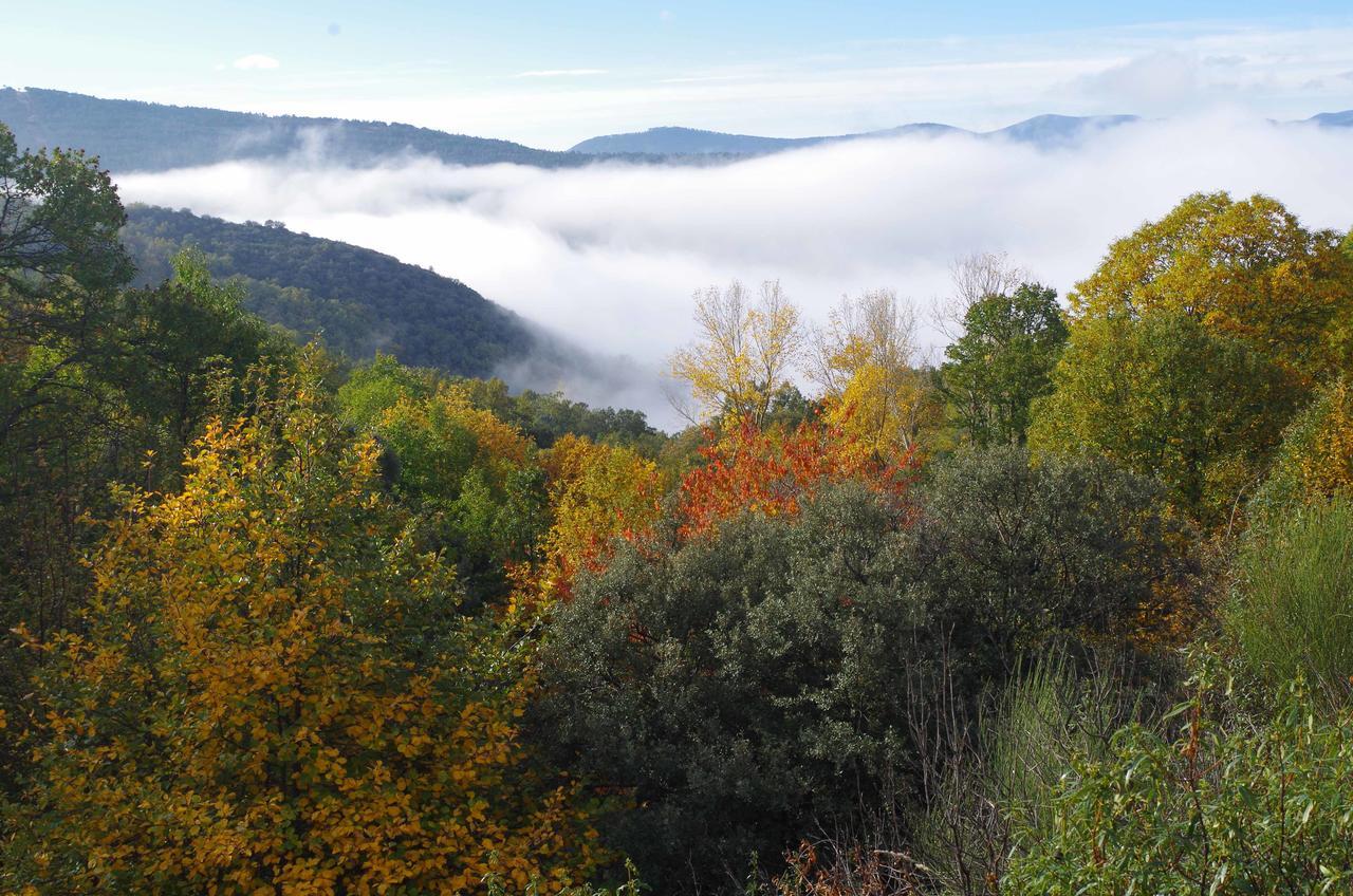 Apartamentos Sierra De Francia Monsagro Dış mekan fotoğraf